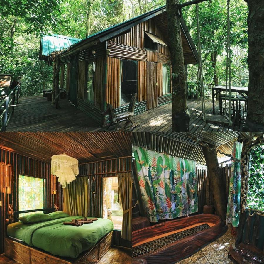 Khao Sok Tree House Resort Khao Sok National Park Esterno foto