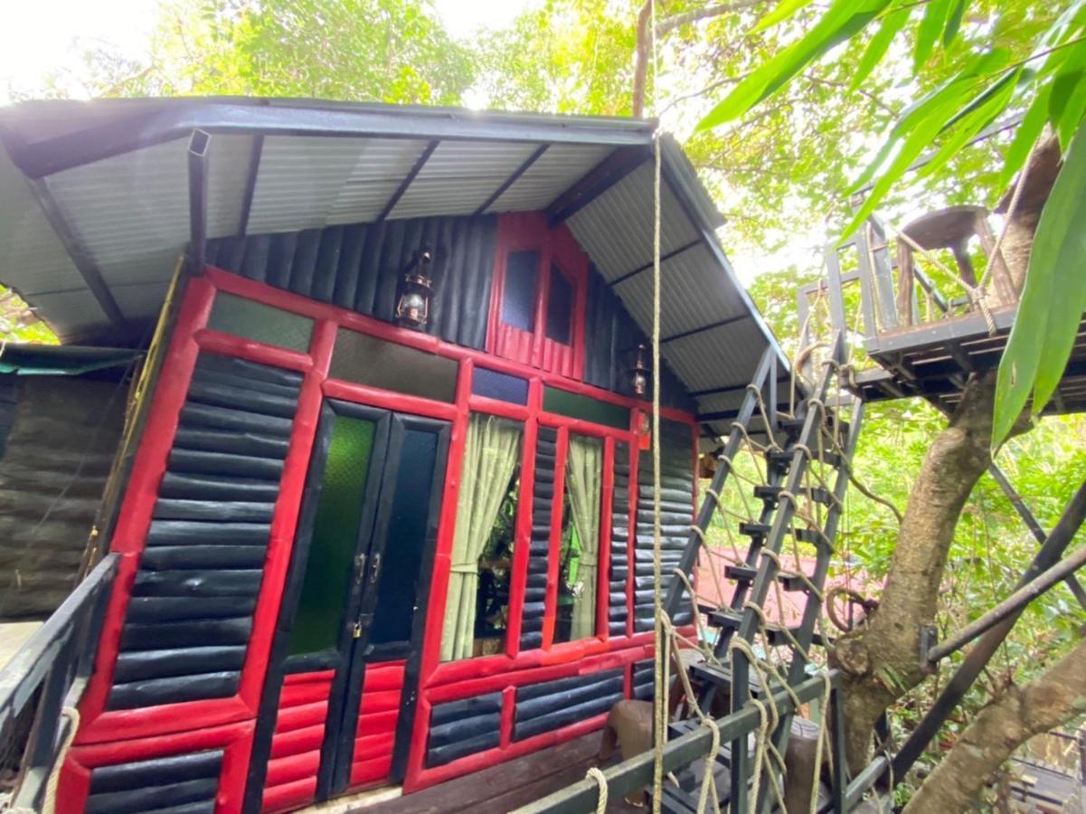 Khao Sok Tree House Resort Khao Sok National Park Esterno foto