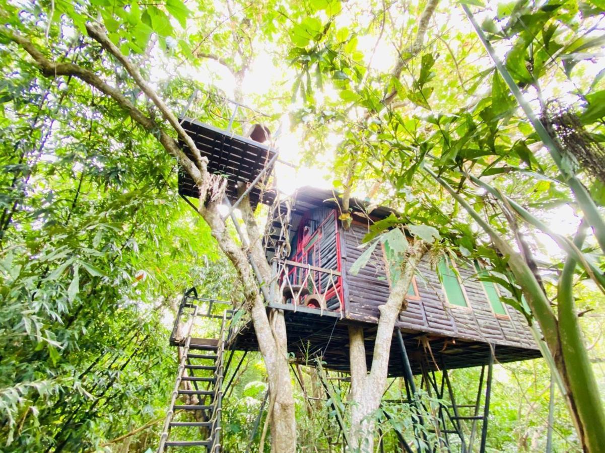 Khao Sok Tree House Resort Khao Sok National Park Esterno foto
