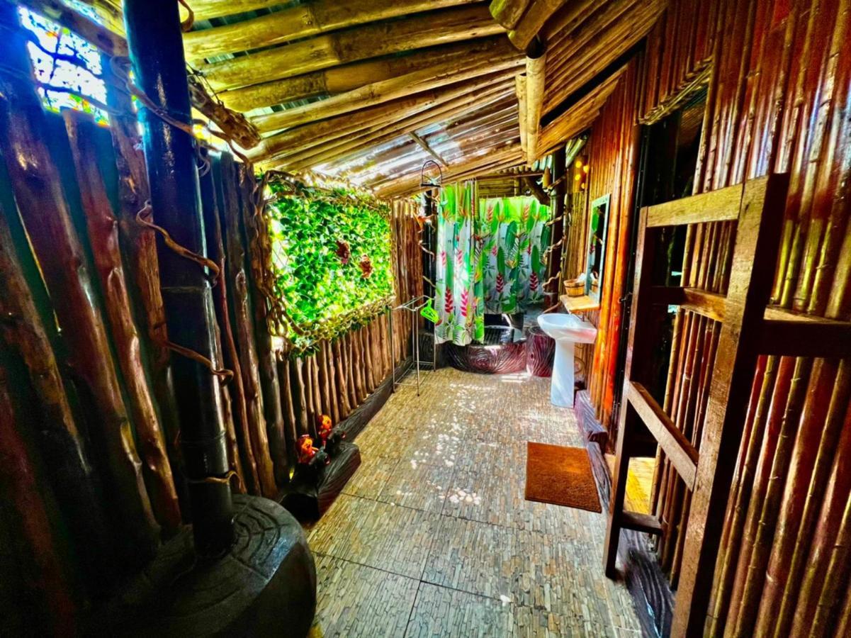Khao Sok Tree House Resort Khao Sok National Park Esterno foto