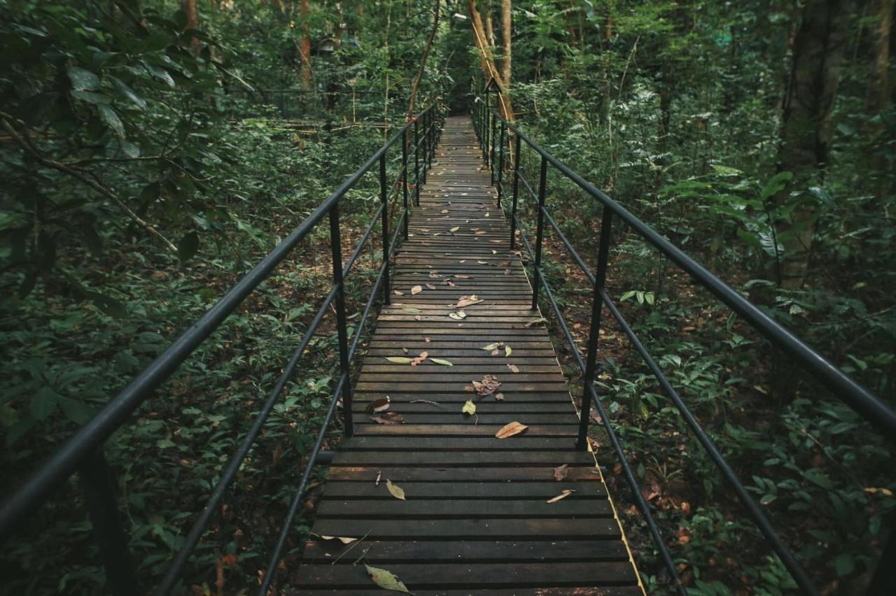 Khao Sok Tree House Resort Khao Sok National Park Esterno foto
