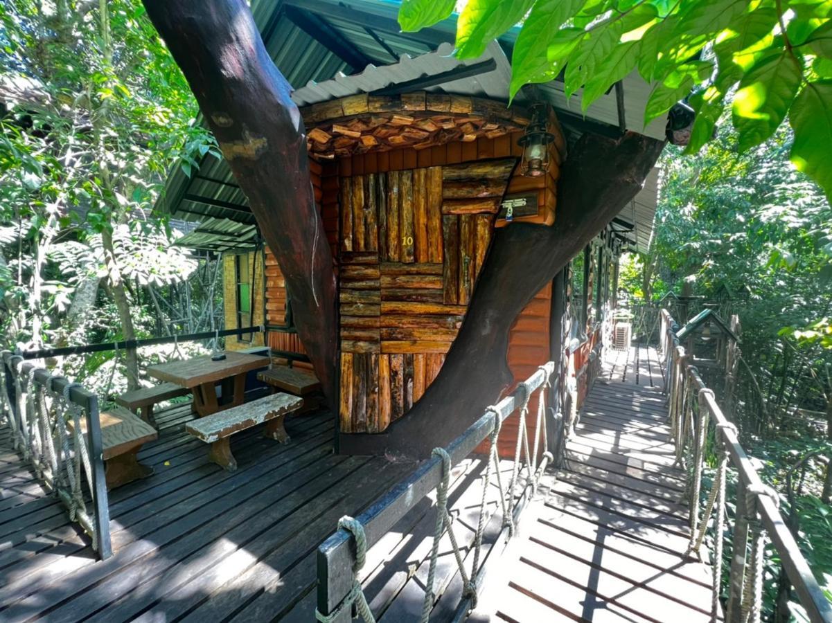 Khao Sok Tree House Resort Khao Sok National Park Esterno foto