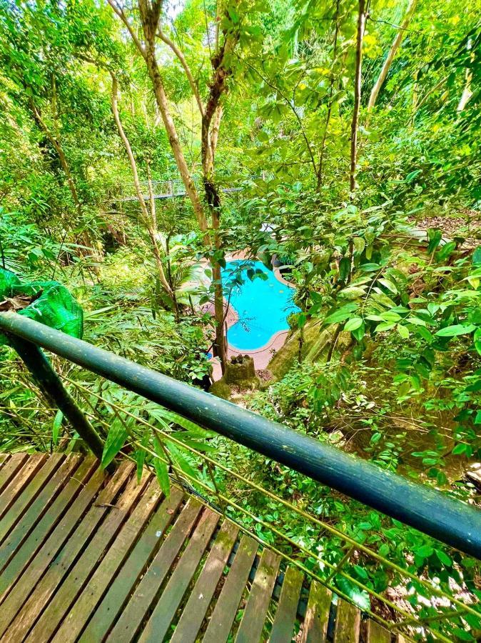 Khao Sok Tree House Resort Khao Sok National Park Esterno foto