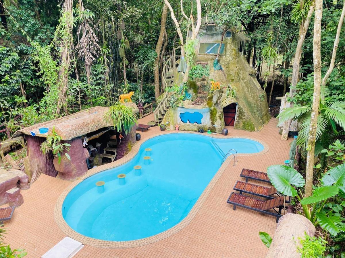 Khao Sok Tree House Resort Khao Sok National Park Esterno foto