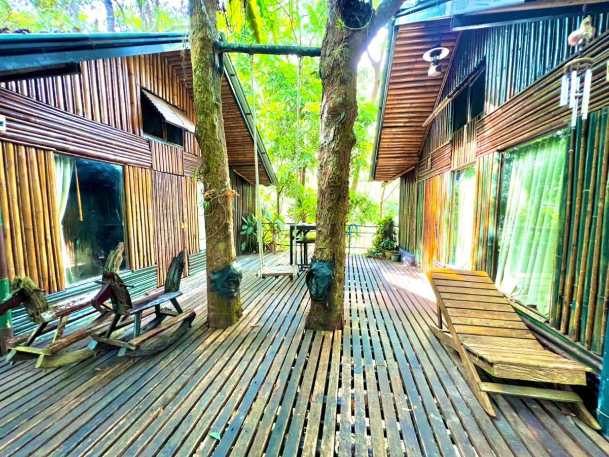 Khao Sok Tree House Resort Khao Sok National Park Esterno foto