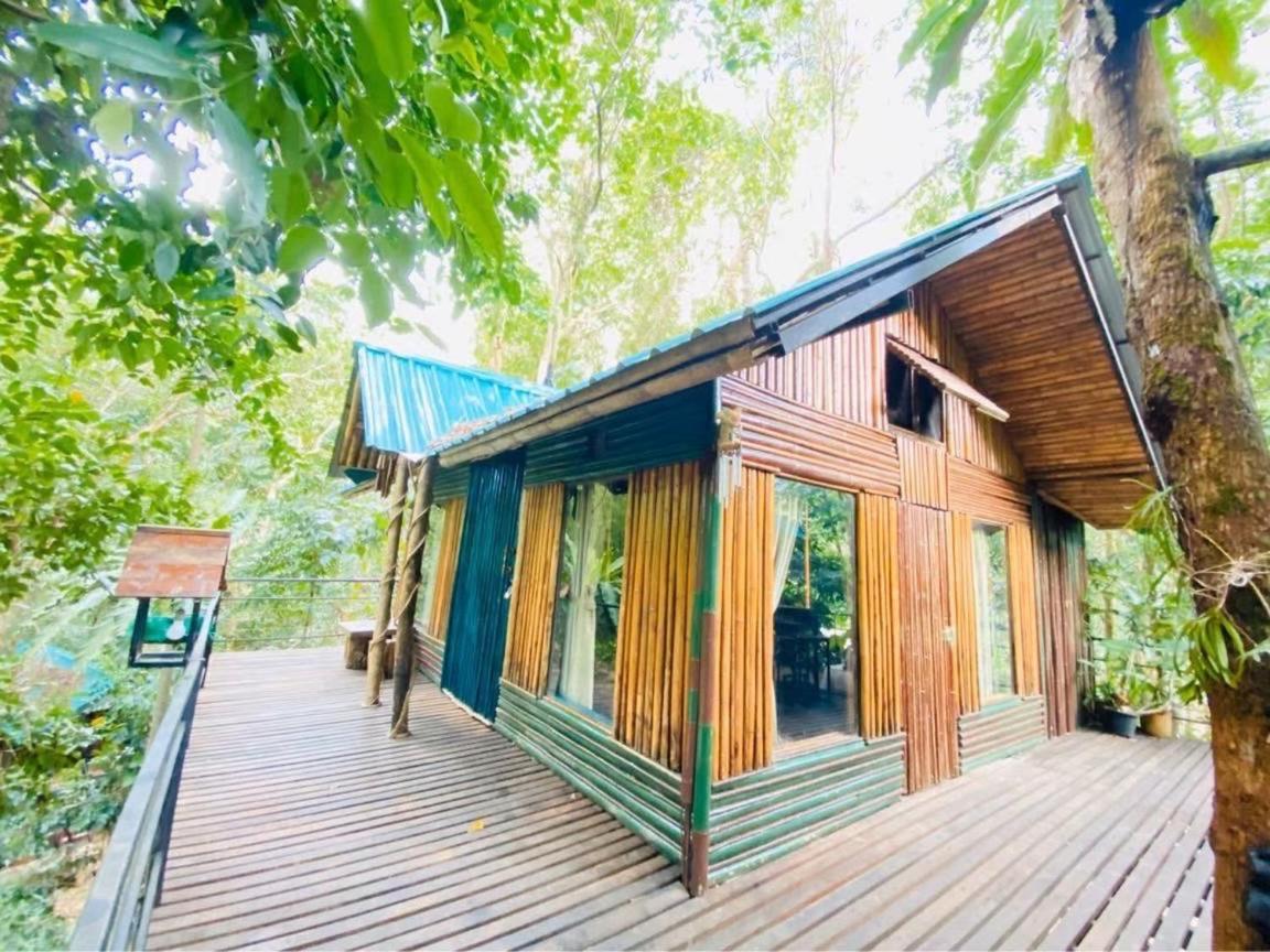 Khao Sok Tree House Resort Khao Sok National Park Esterno foto