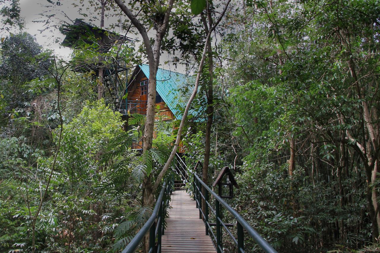 Khao Sok Tree House Resort Khao Sok National Park Esterno foto