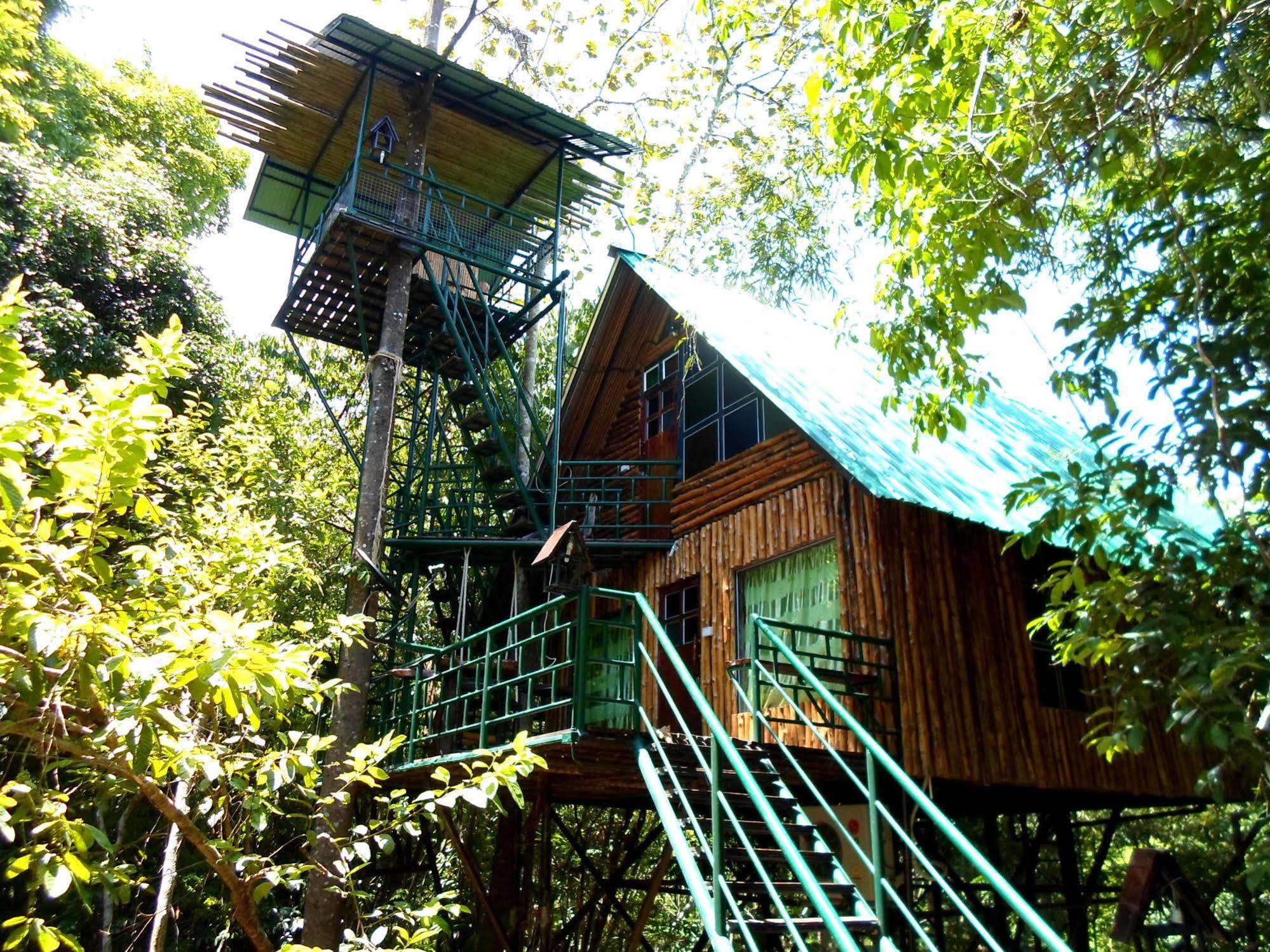 Khao Sok Tree House Resort Khao Sok National Park Esterno foto
