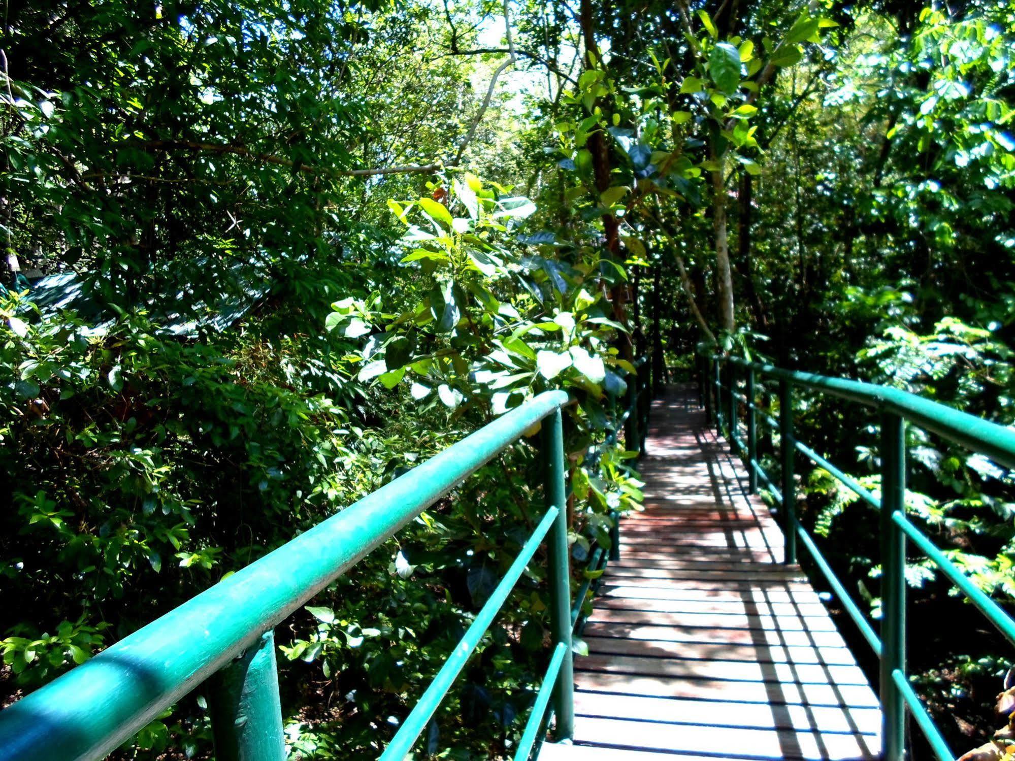 Khao Sok Tree House Resort Khao Sok National Park Esterno foto