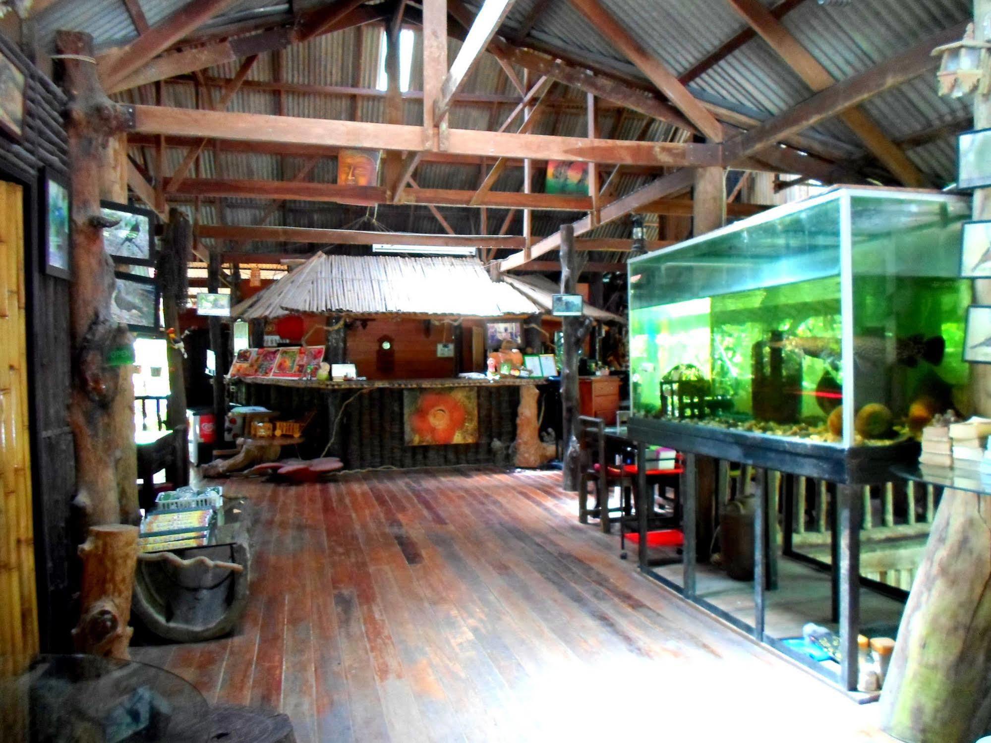 Khao Sok Tree House Resort Khao Sok National Park Esterno foto