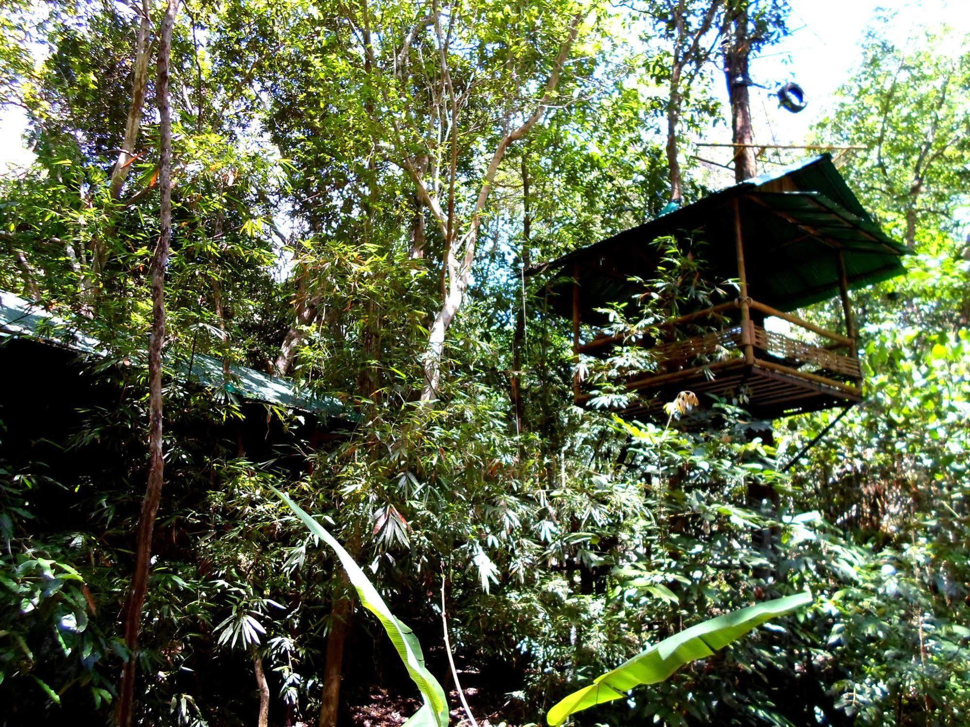 Khao Sok Tree House Resort Khao Sok National Park Esterno foto