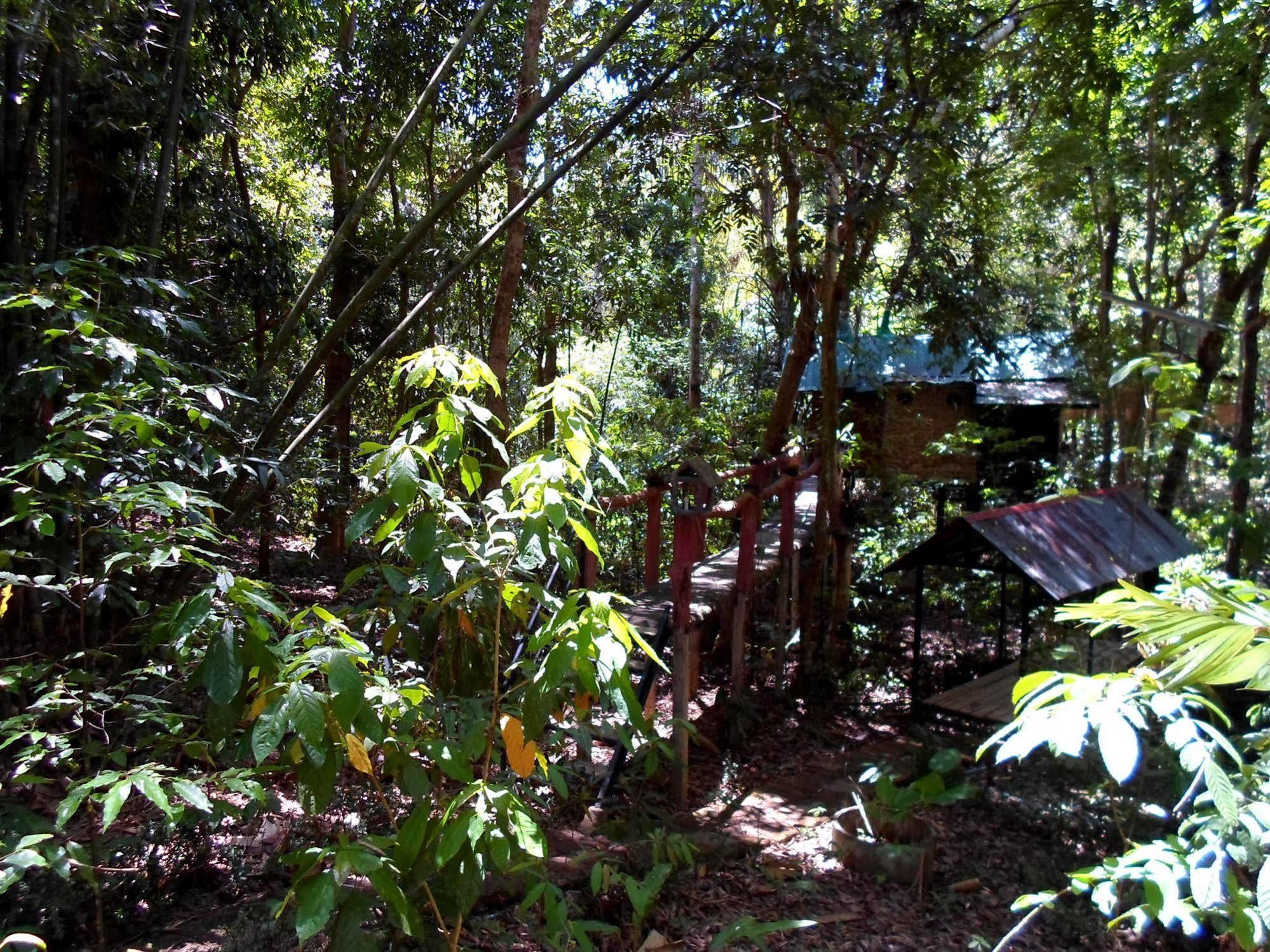 Khao Sok Tree House Resort Khao Sok National Park Esterno foto