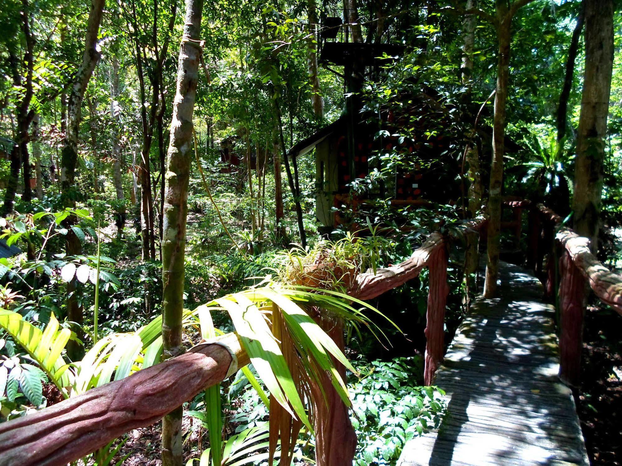 Khao Sok Tree House Resort Khao Sok National Park Esterno foto
