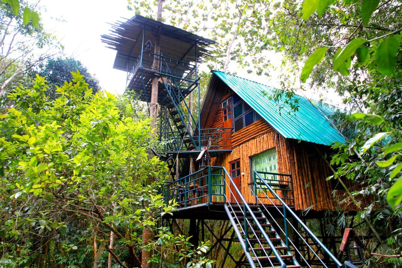 Khao Sok Tree House Resort Khao Sok National Park Esterno foto