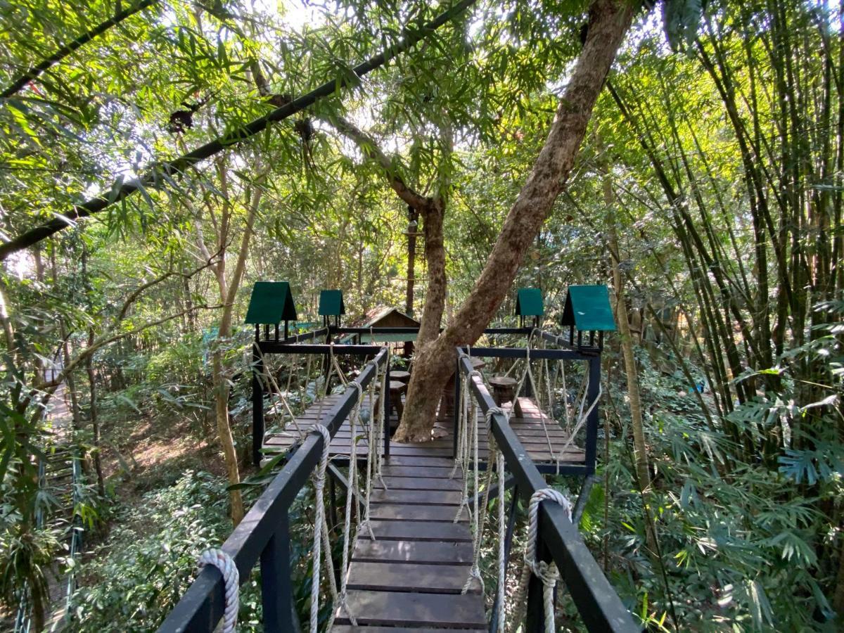 Khao Sok Tree House Resort Khao Sok National Park Esterno foto