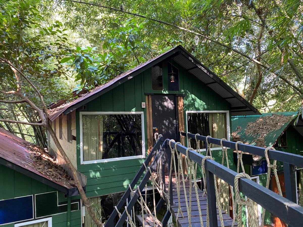 Khao Sok Tree House Resort Khao Sok National Park Esterno foto