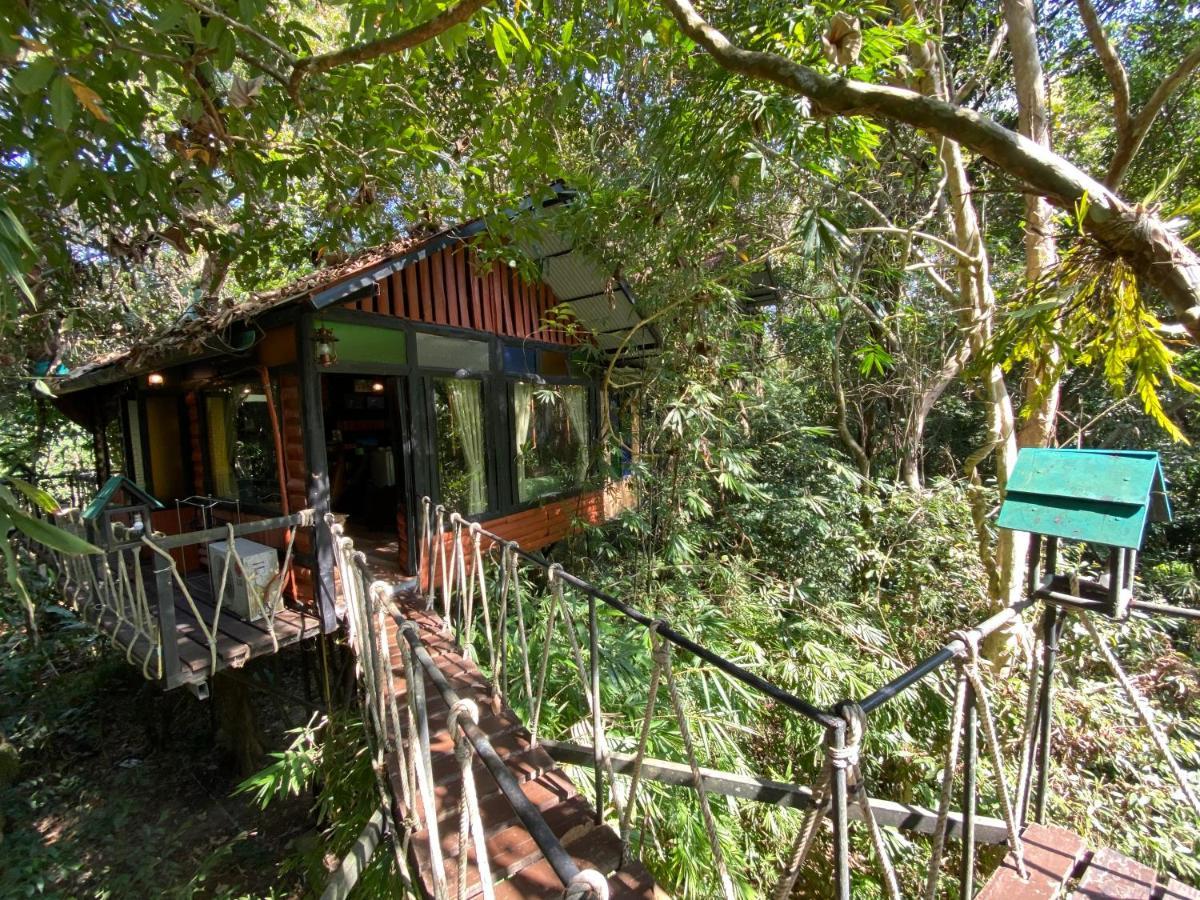 Khao Sok Tree House Resort Khao Sok National Park Esterno foto