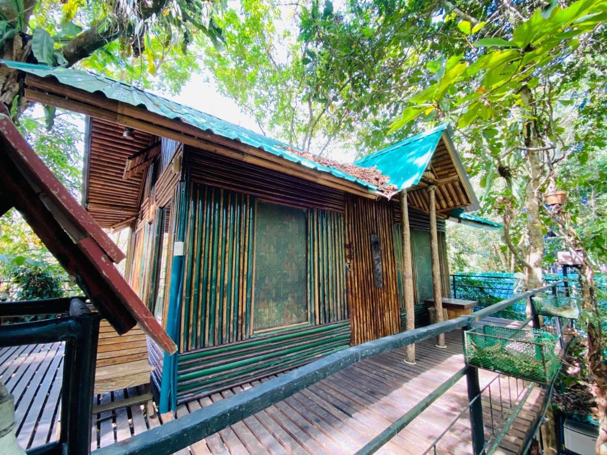 Khao Sok Tree House Resort Khao Sok National Park Esterno foto